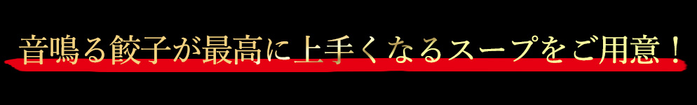 音鳴る餃子が美味しくなる鍋できました